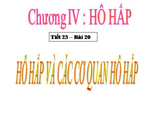 Bài 20. Hô hấp và các cơ quan hô hấp