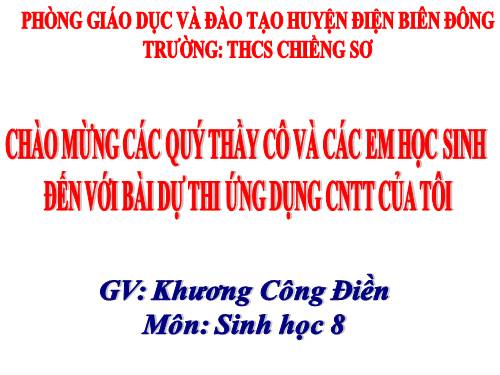 Bài 47. Đại não