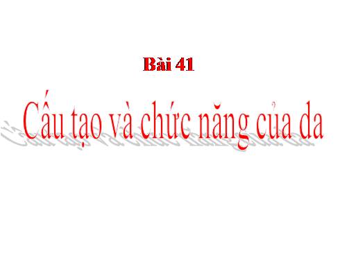 Bài 41. Cấu tạo và chức năng của da