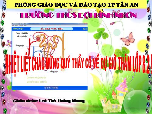 Bài 39. Bài tiết nước tiểu