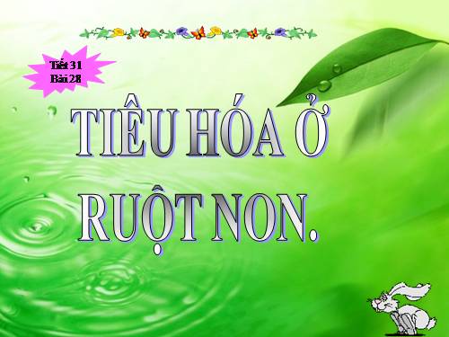 Bài 28. Tiêu hóa ở ruột non