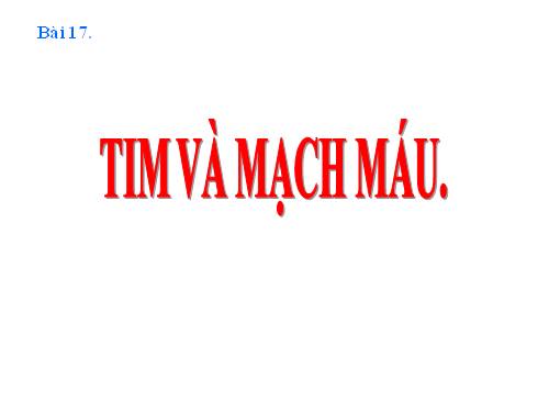 Bài 17. Tim và mạch máu