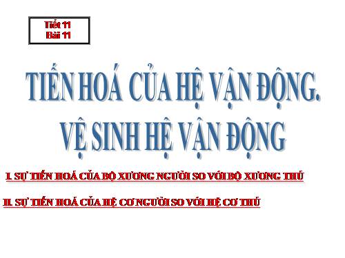 Bài 11. Tiến hóa của hệ vận động. Vệ sinh hệ vận động