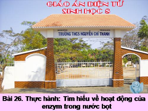 Bài 26. Thực hành: Tìm hiểu hoạt động của enzim trong nước bọt