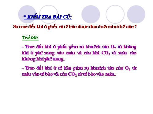 Bài 22. Vệ sinh hô hấp
