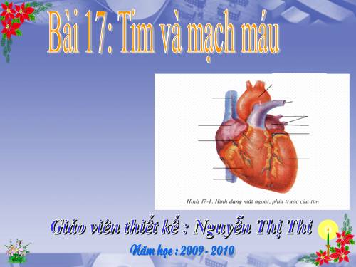 Bài 17. Tim và mạch máu