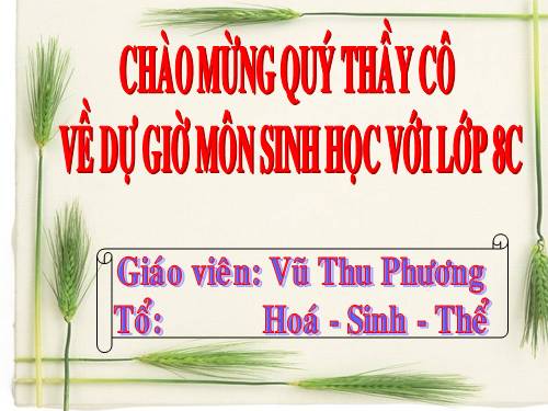 Bài 21. Hoạt động hô hấp