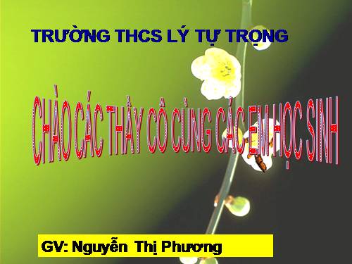 Bài 27. Tiêu hóa ở dạ dày