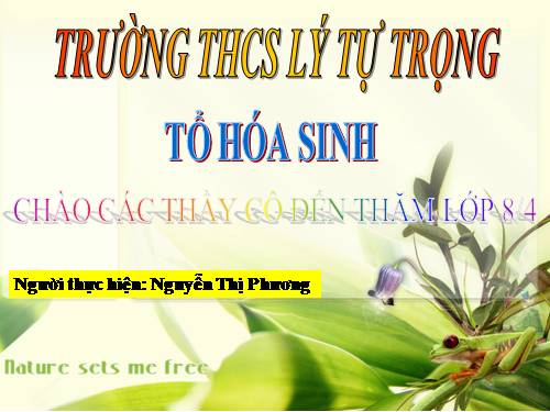 Bài 24. Tiêu hóa và các cơ quan tiêu hóa