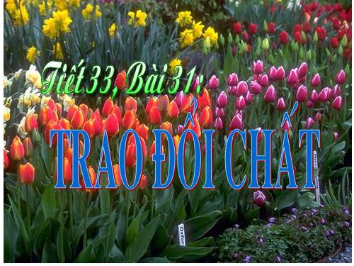 Bài 31. Trao đổi chất
