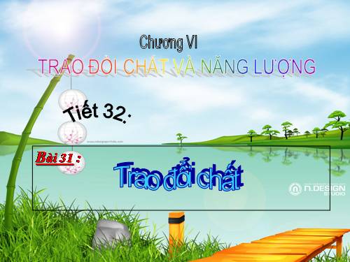 Bài 31. Trao đổi chất