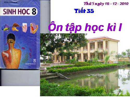 Bài 35. Ôn tập học kì I