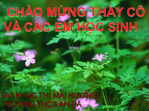 Bài 31. Trao đổi chất