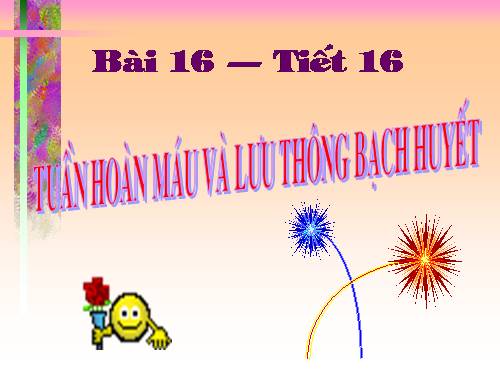 Bài 16. Tuần hoàn máu và lưu thông bạch huyết