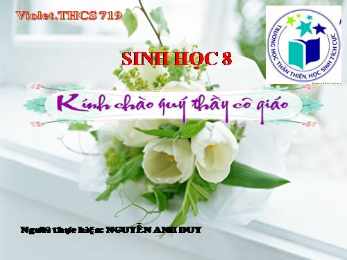 Bài 30. Vệ sinh tiêu hóa