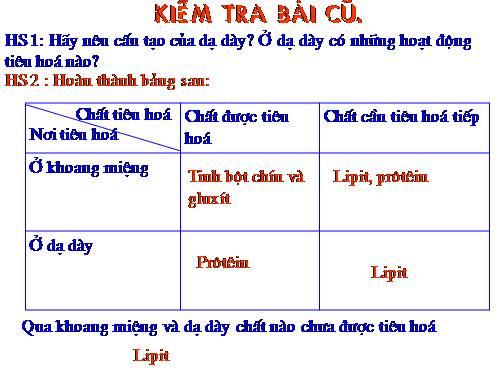 Bài 28. Tiêu hóa ở ruột non