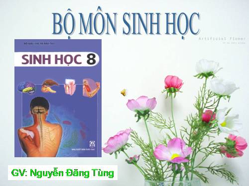 Bài 56. Tuyến yên, tuyến giáp