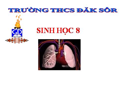 Bài 22. Vệ sinh hô hấp