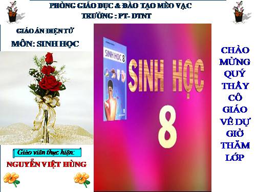 Bài 17. Tim và mạch máu