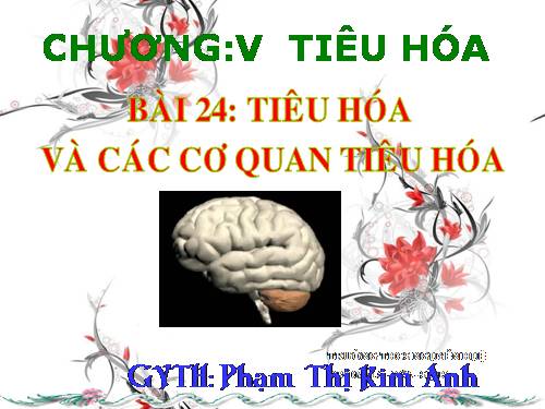 Bài 24. Tiêu hóa và các cơ quan tiêu hóa