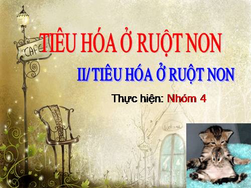 Bài 28. Tiêu hóa ở ruột non