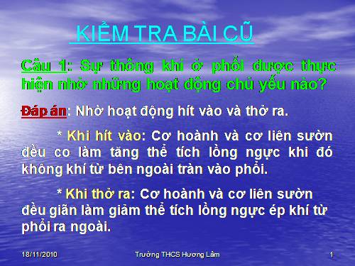 Bài 23. Thực hành: Hô hấp nhân tạo