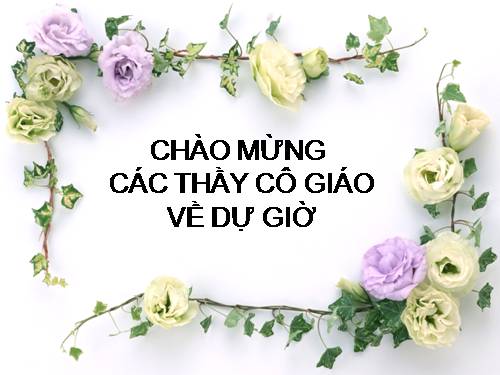 Bài 20. Hô hấp và các cơ quan hô hấp