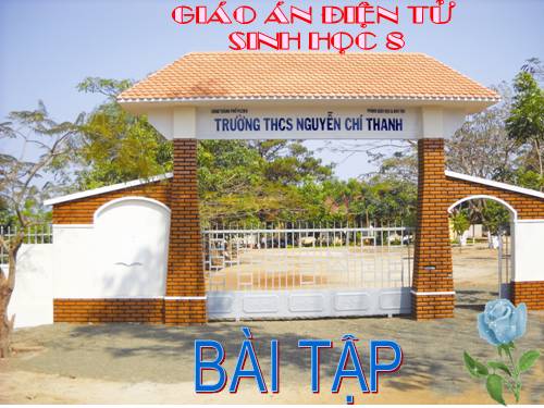 Bài 2. Cấu tạo cơ thể người