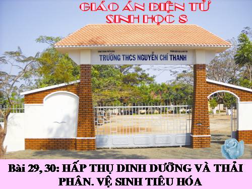 Bài 29. Hấp thụ chất dinh dưỡng và thải phân