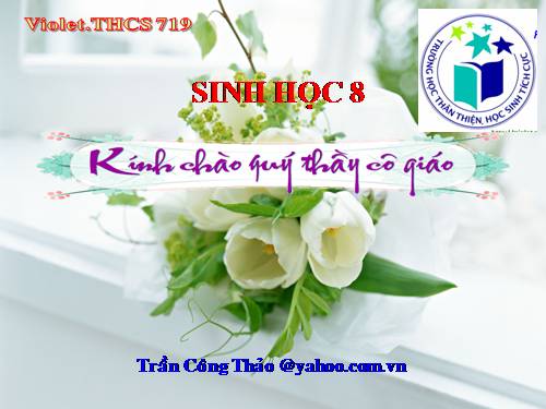 Bài 30. Vệ sinh tiêu hóa