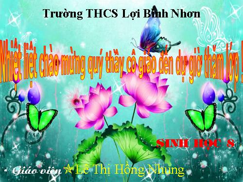 Bài 28. Tiêu hóa ở ruột non