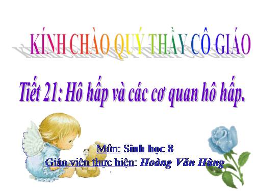 Bài 20. Hô hấp và các cơ quan hô hấp