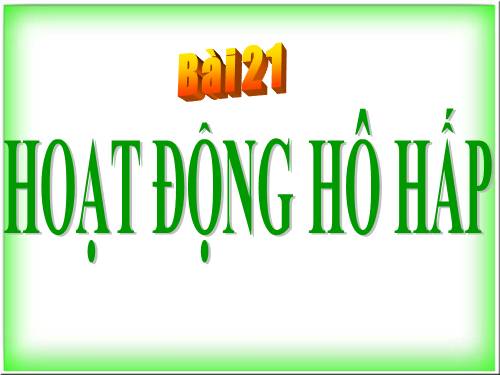 Bài 21. Hoạt động hô hấp