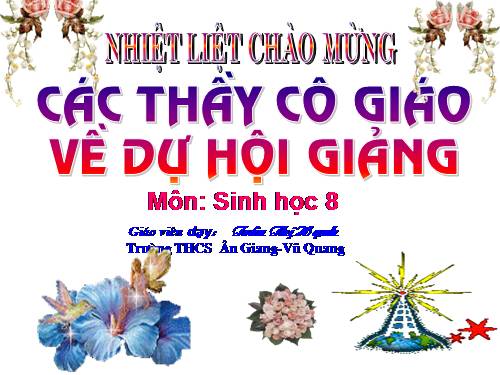 Bài 38. Bài tiết và cấu tạo hệ bài tiết nước tiểu