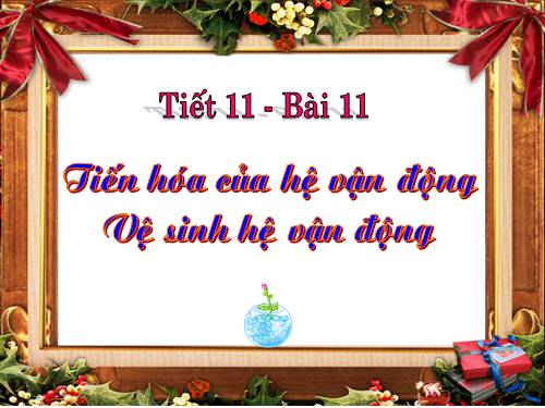 Bài 11. Tiến hóa của hệ vận động. Vệ sinh hệ vận động