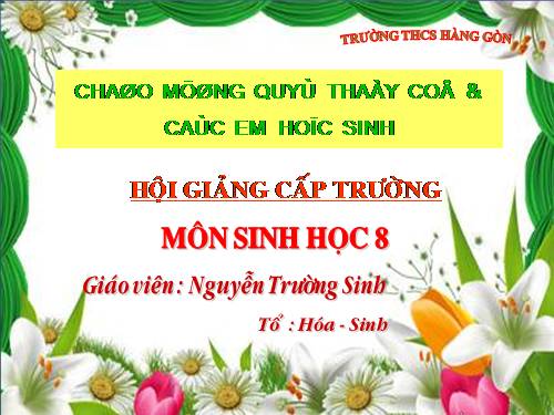 Bài 22. Vệ sinh hô hấp