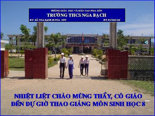 Bài 13. Máu và môi trường trong cơ thể