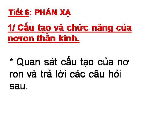 Bài 6. Phản xạ