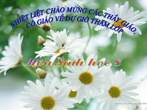 Bài 31. Trao đổi chất