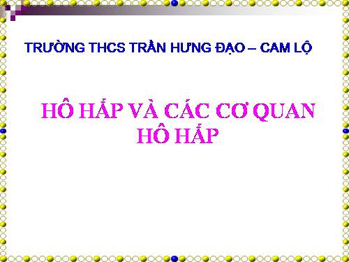 Bài 20. Hô hấp và các cơ quan hô hấp