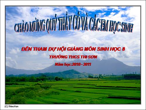 Bài 20. Hô hấp và các cơ quan hô hấp