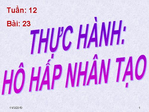 Bài 23. Thực hành: Hô hấp nhân tạo