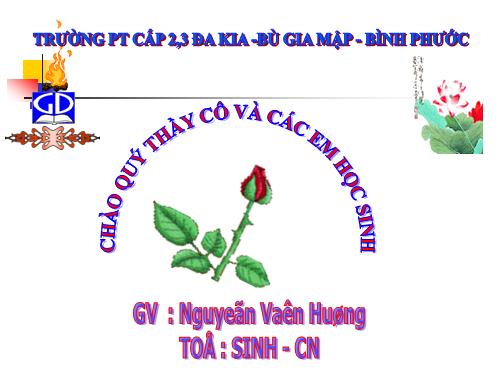 Bài 22. Vệ sinh hô hấp