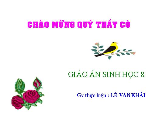 Bài 20. Hô hấp và các cơ quan hô hấp