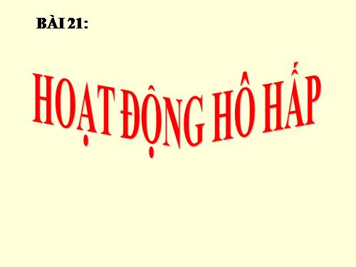 Bài 21. Hoạt động hô hấp