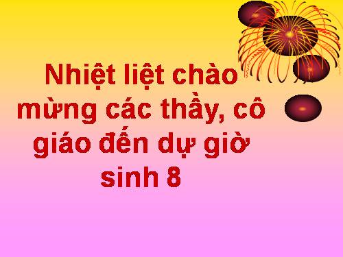 Bài 17. Tim và mạch máu