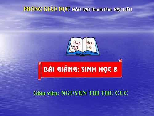 Bài 28. Tiêu hóa ở ruột non