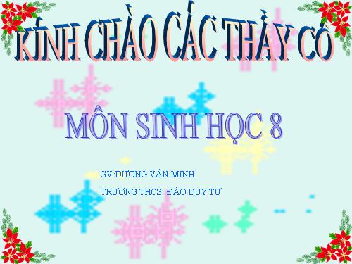 Bài 60. Cơ quan sinh dục nam