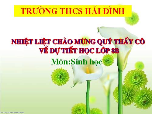 Bài 48. Hệ thần kinh sinh dưỡng