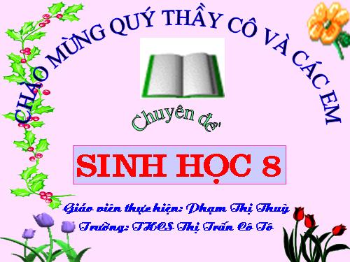 Bài 12. Thực hành: Tập sơ cứu và băng bó cho người gãy xương